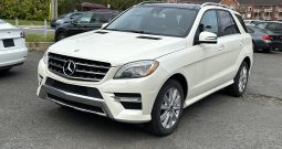 Mercedes ml350 bluetec