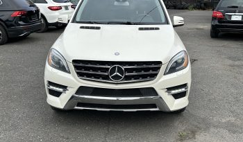 
									Mercedes ml350 bluetec full								