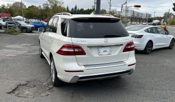 
									Mercedes ml350 bluetec full								