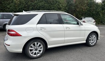 
									Mercedes ml350 bluetec full								