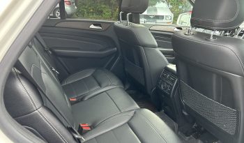 
									Mercedes ml350 bluetec full								